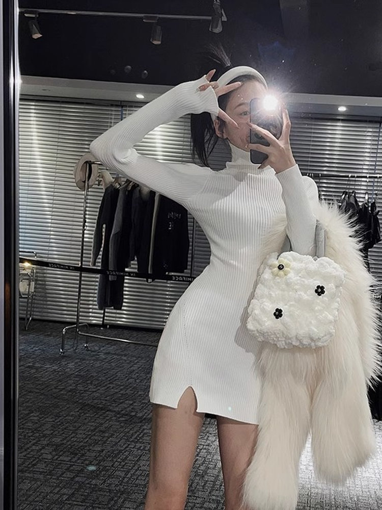 Kadınlar için Dar Kesim, Mini, - Bodycon Long Sleeve Ribbed Dress incelemesi ve fiyatı